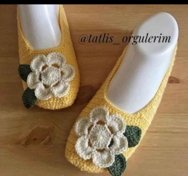 Winter Socks for women