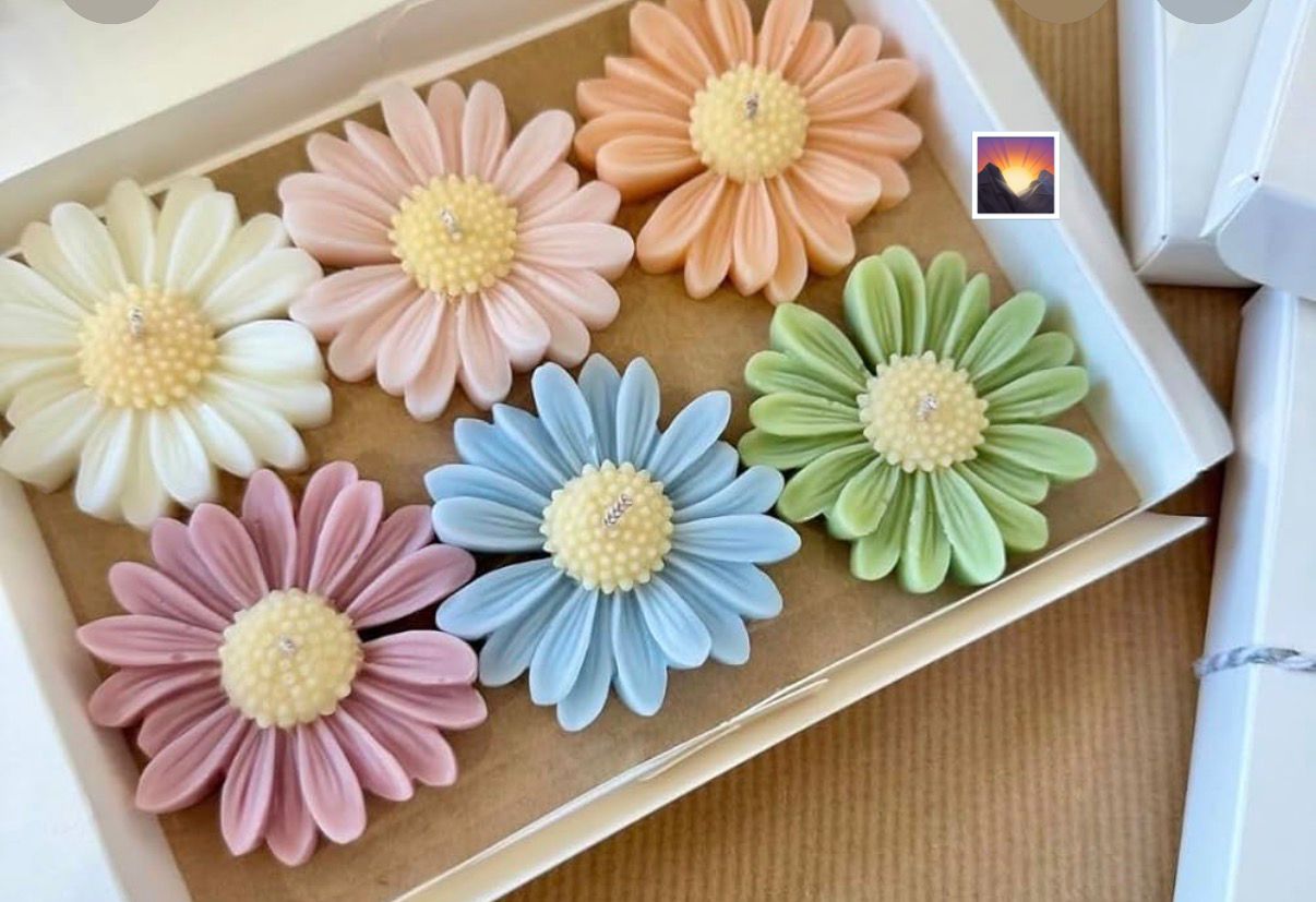 Soy Wax Candles