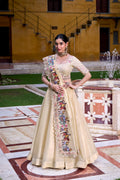 Beautiful Lehenga Choli for Weddings and Festivities