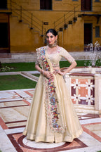 Beautiful Lehenga Choli for Weddings and Festivities