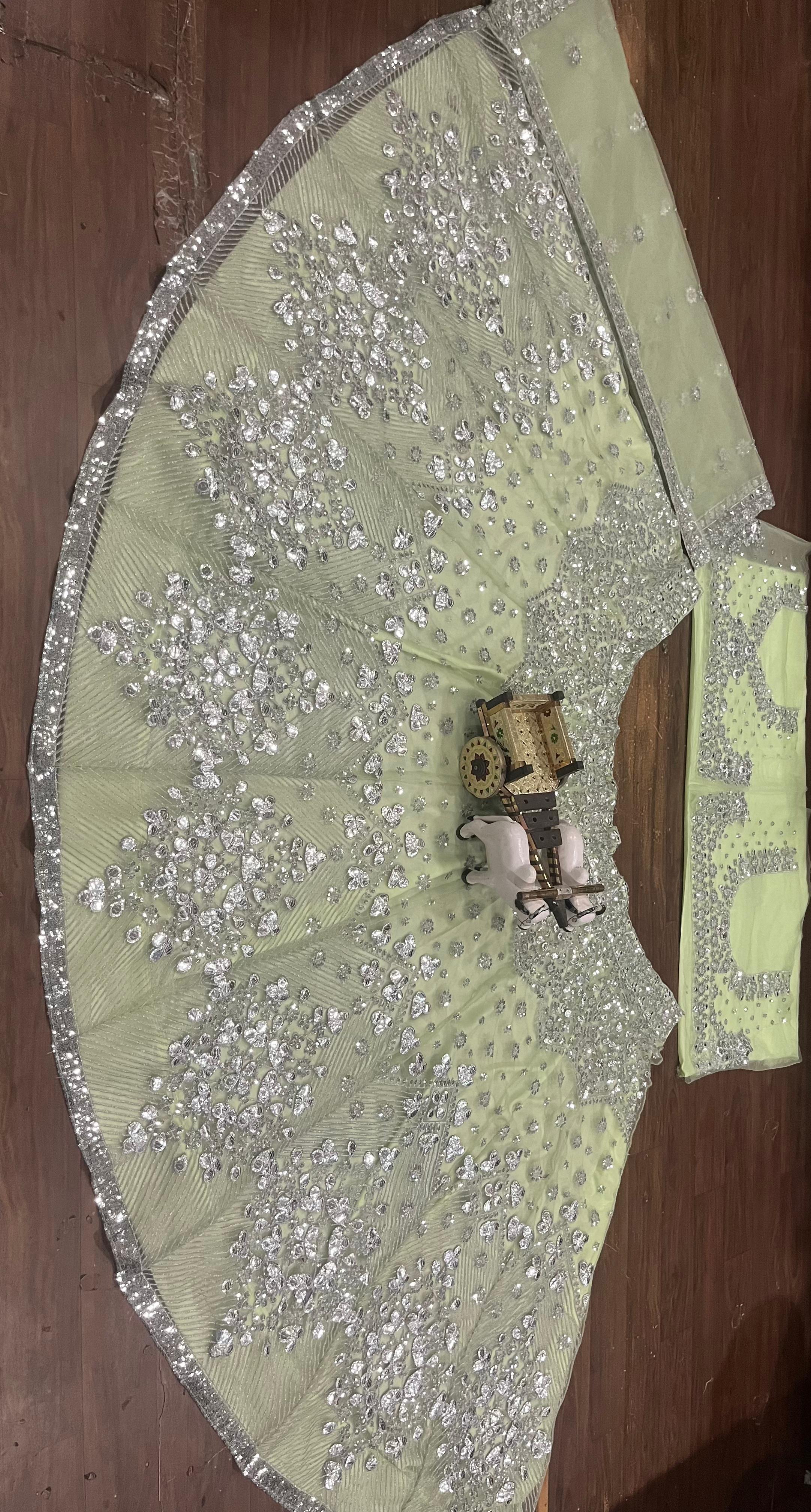 Beautiful Butterfly Net Lehenga with Sequins