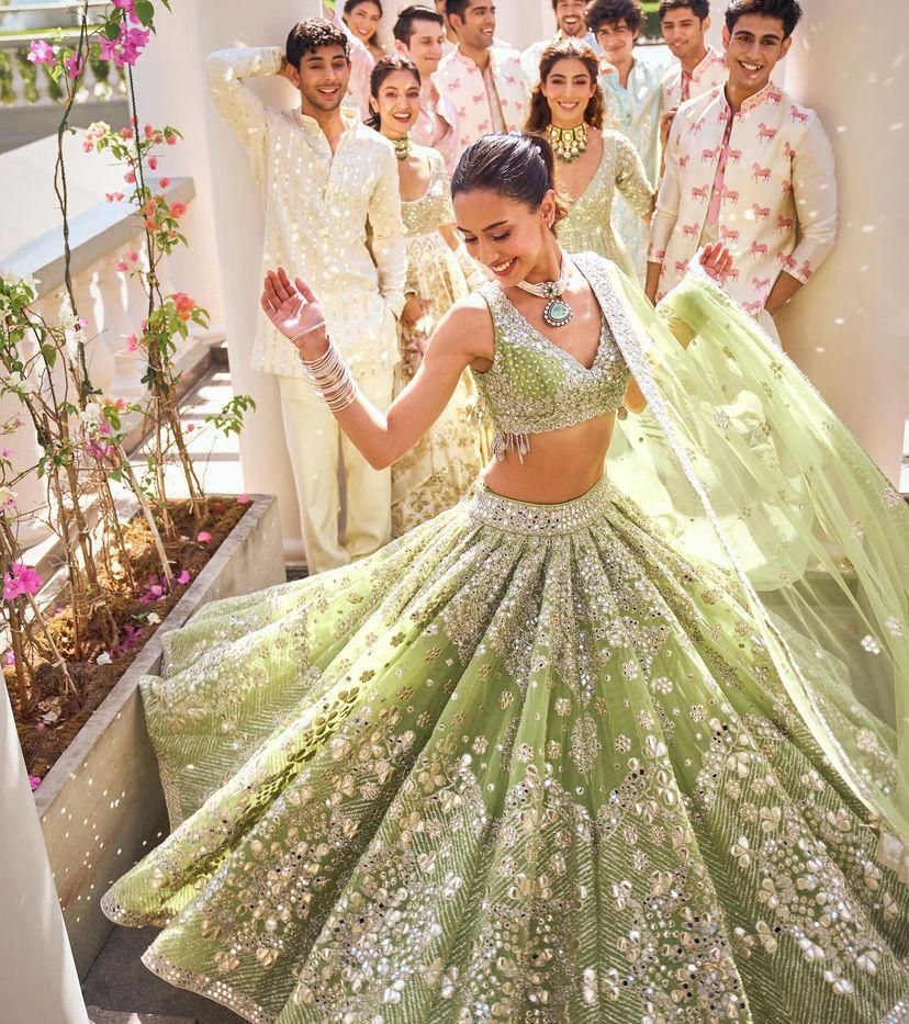 Beautiful Butterfly Net Lehenga with Sequins