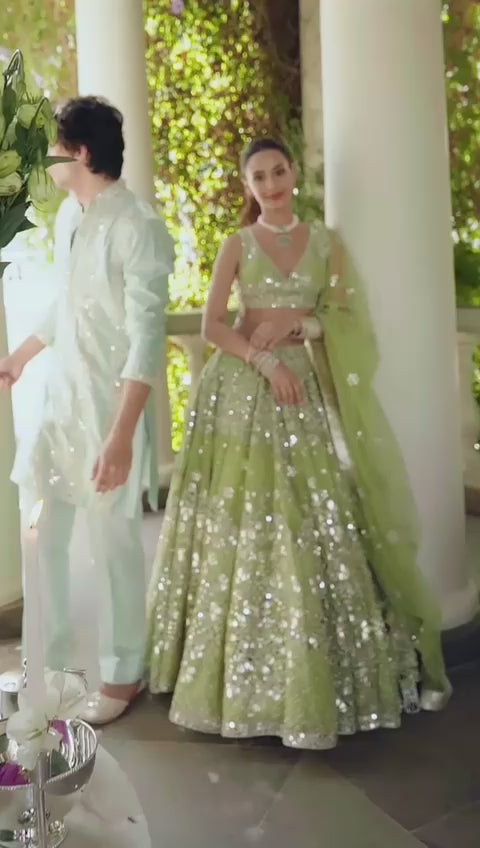 Beautiful Butterfly Net Lehenga with Sequins