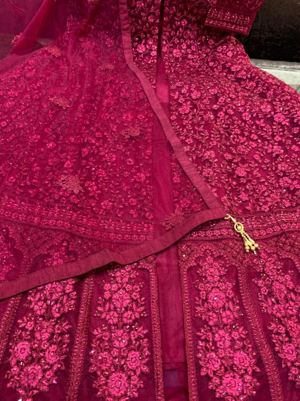 Beautiful Net Embroidered Gown
