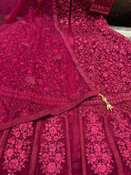 Beautiful Net Embroidered Gown