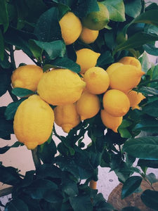 Thai Seedless Lemons