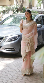 Beautiful Organza Saree with embroidery and sequins