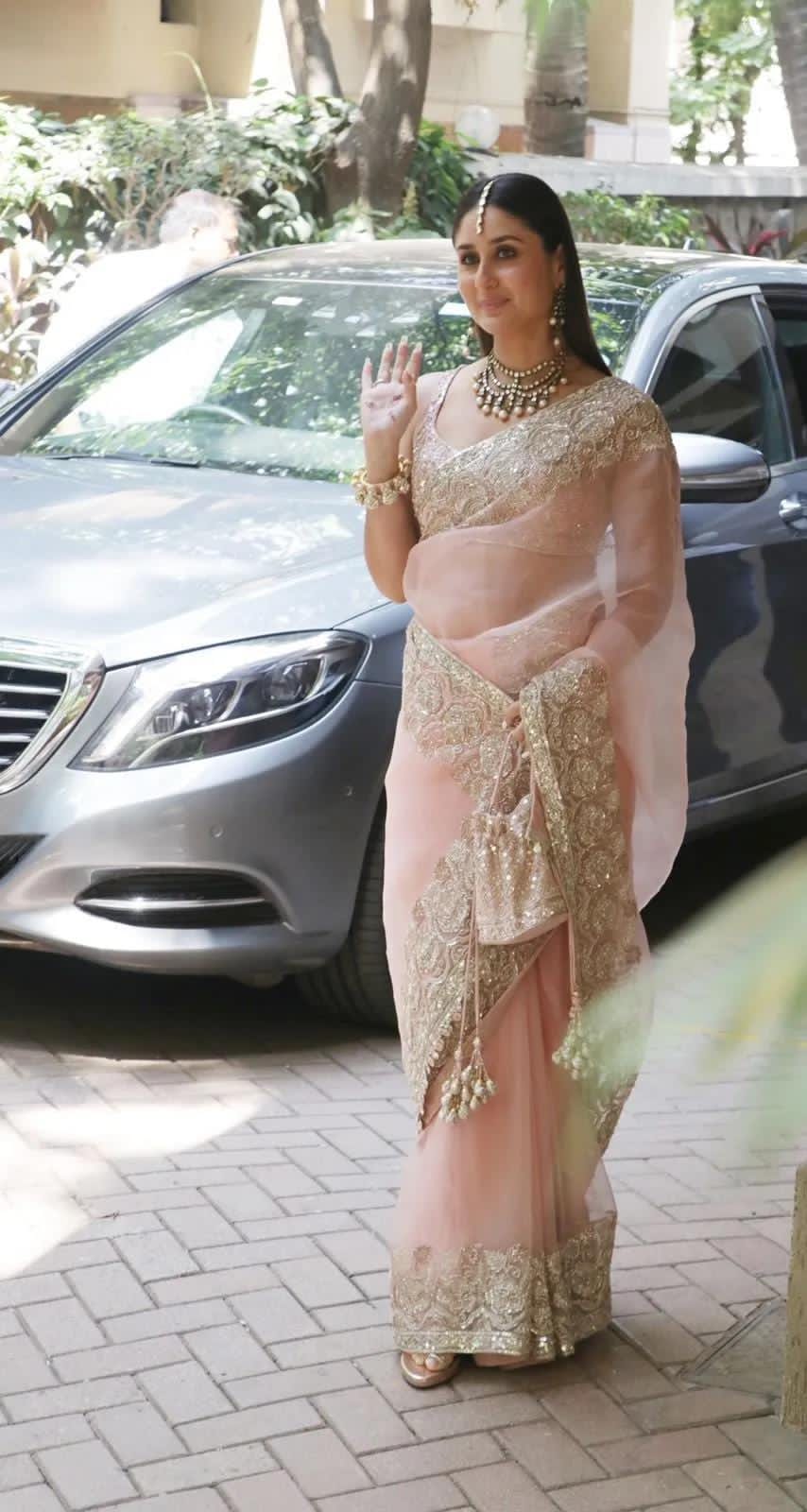 Beautiful Organza Saree with embroidery and sequins