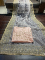 Beautiful Organza Saree with embroidery and sequins