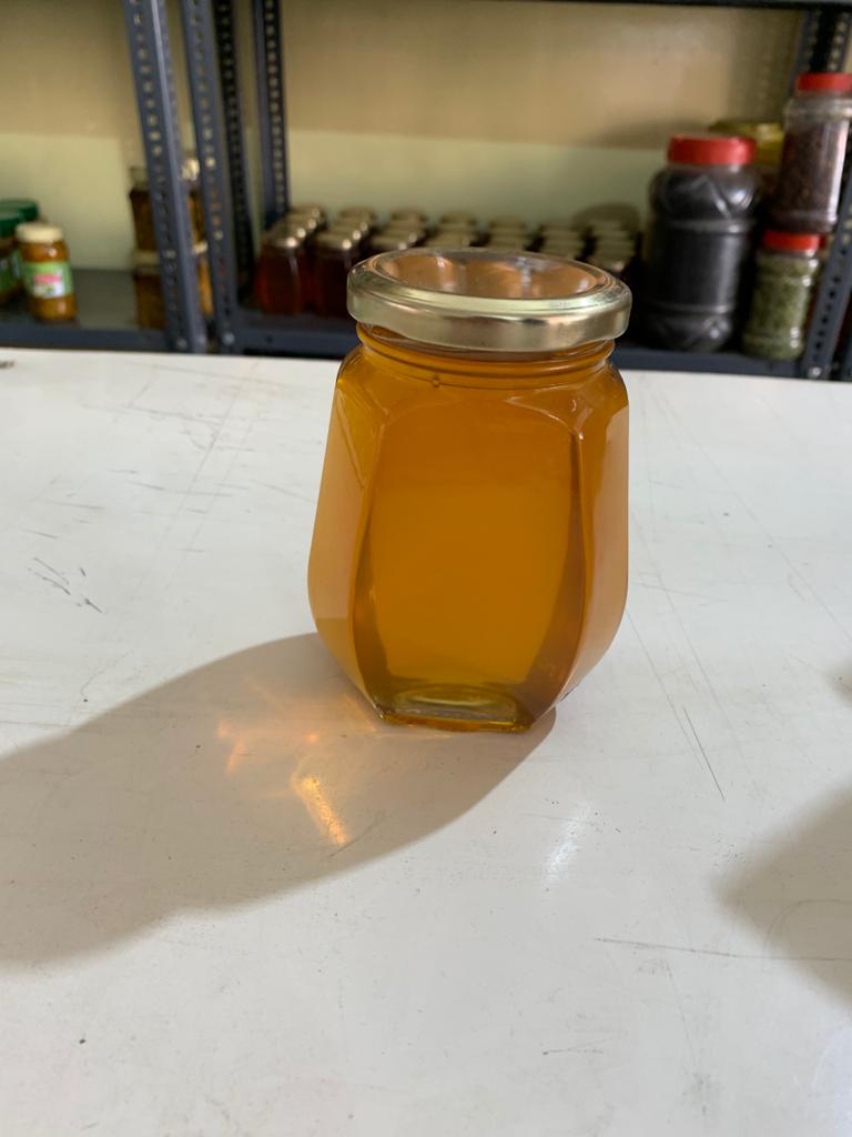 Honey (Verdanta)
