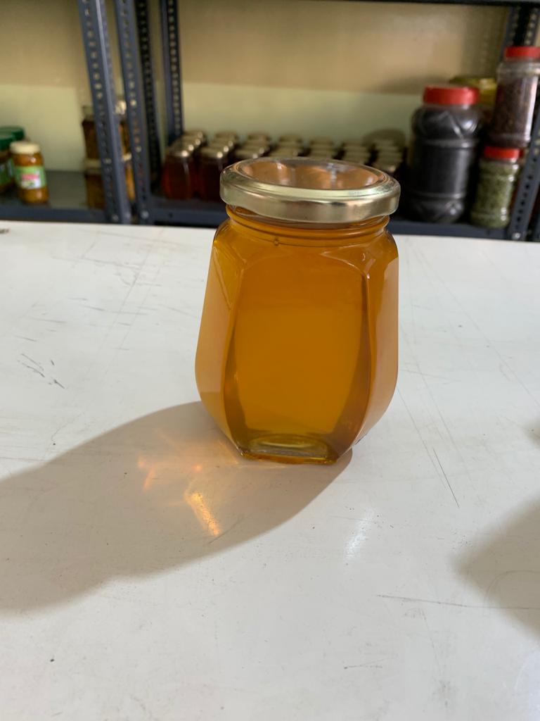 Honey (Verdanta)