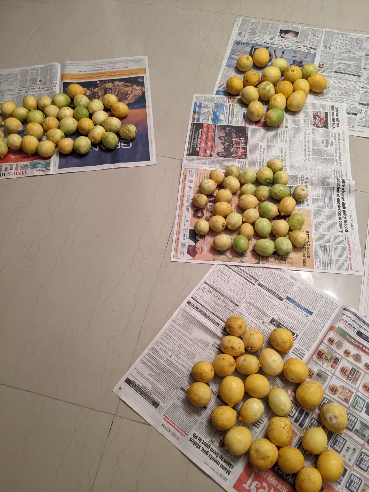 Thai Seedless Lemons