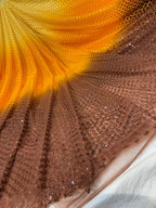 Beautiful Net Embroidered Sarees