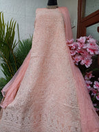 Summer Special Chikakari Suits