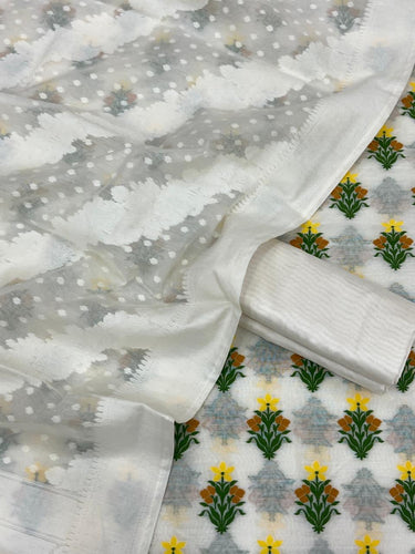 Handloom Chanderi Jamdani Patola