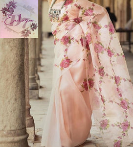 Stunning Hand Painted Organza Sarees