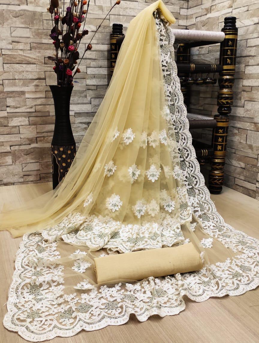 Soft Net Saree with embroidery