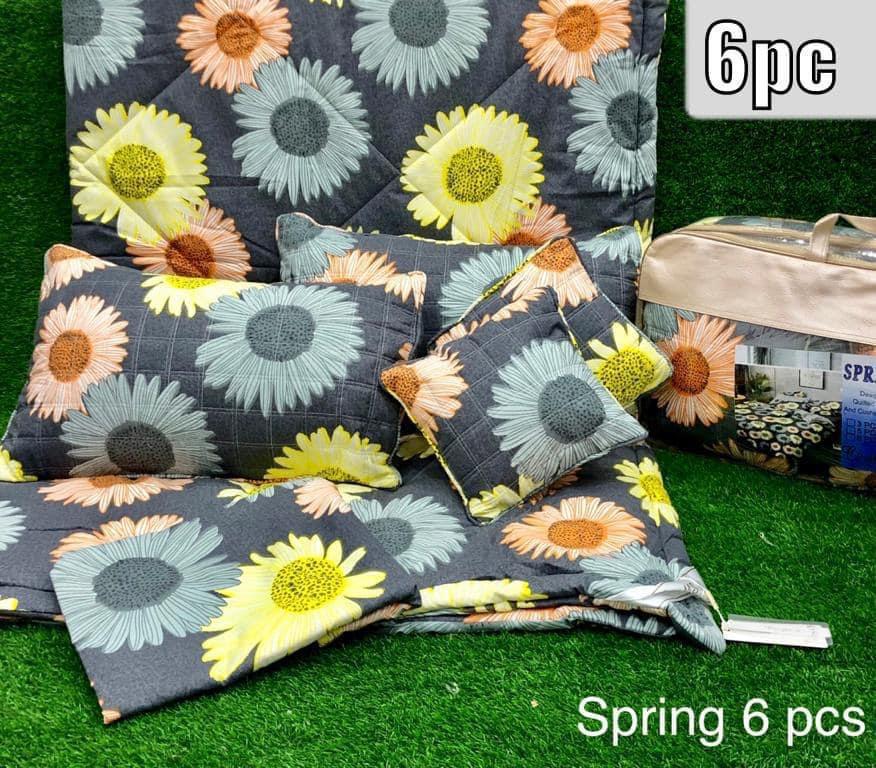 Pascos Comforter Set 6 pieces