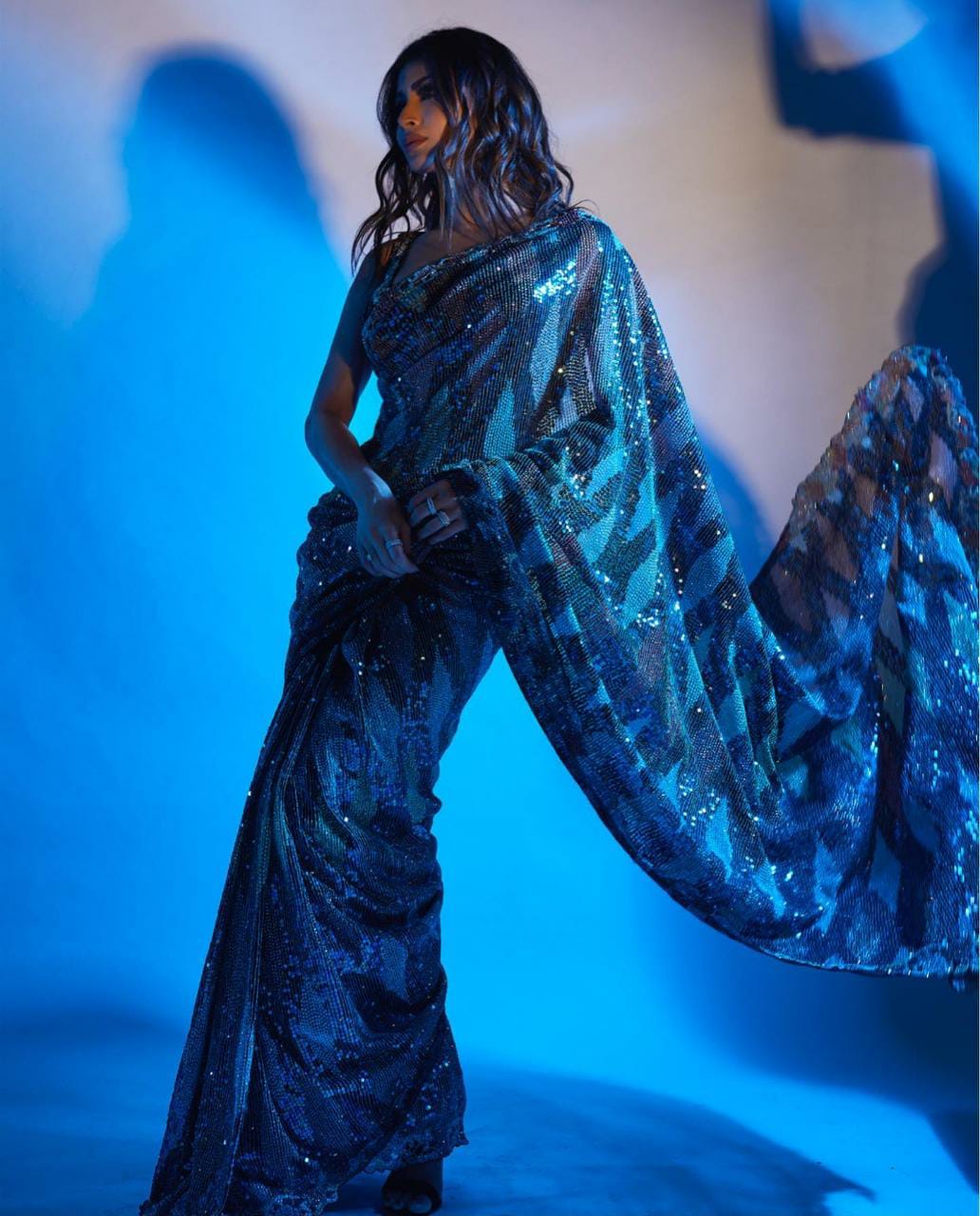 Beautiful Sequins Saree