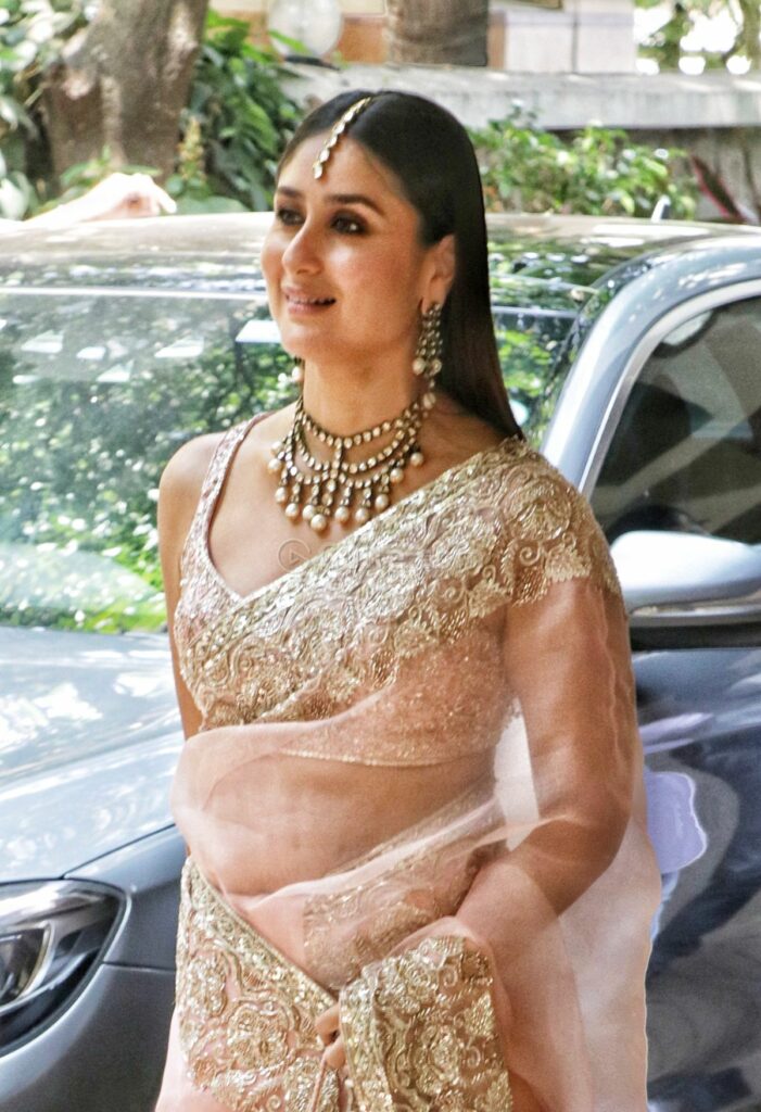Beautiful Organza Saree with embroidery and sequins