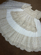 Party Wear Lehenga (SSR)