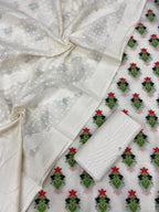 Handloom Chanderi Jamdani Patola