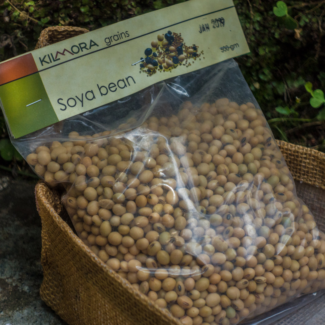 Soybean (Kilmora)