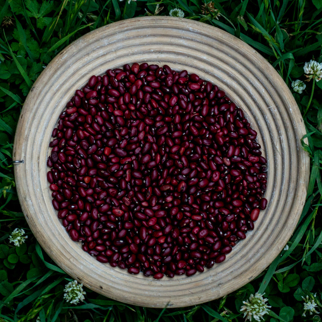 Rajma (Kilmora)
