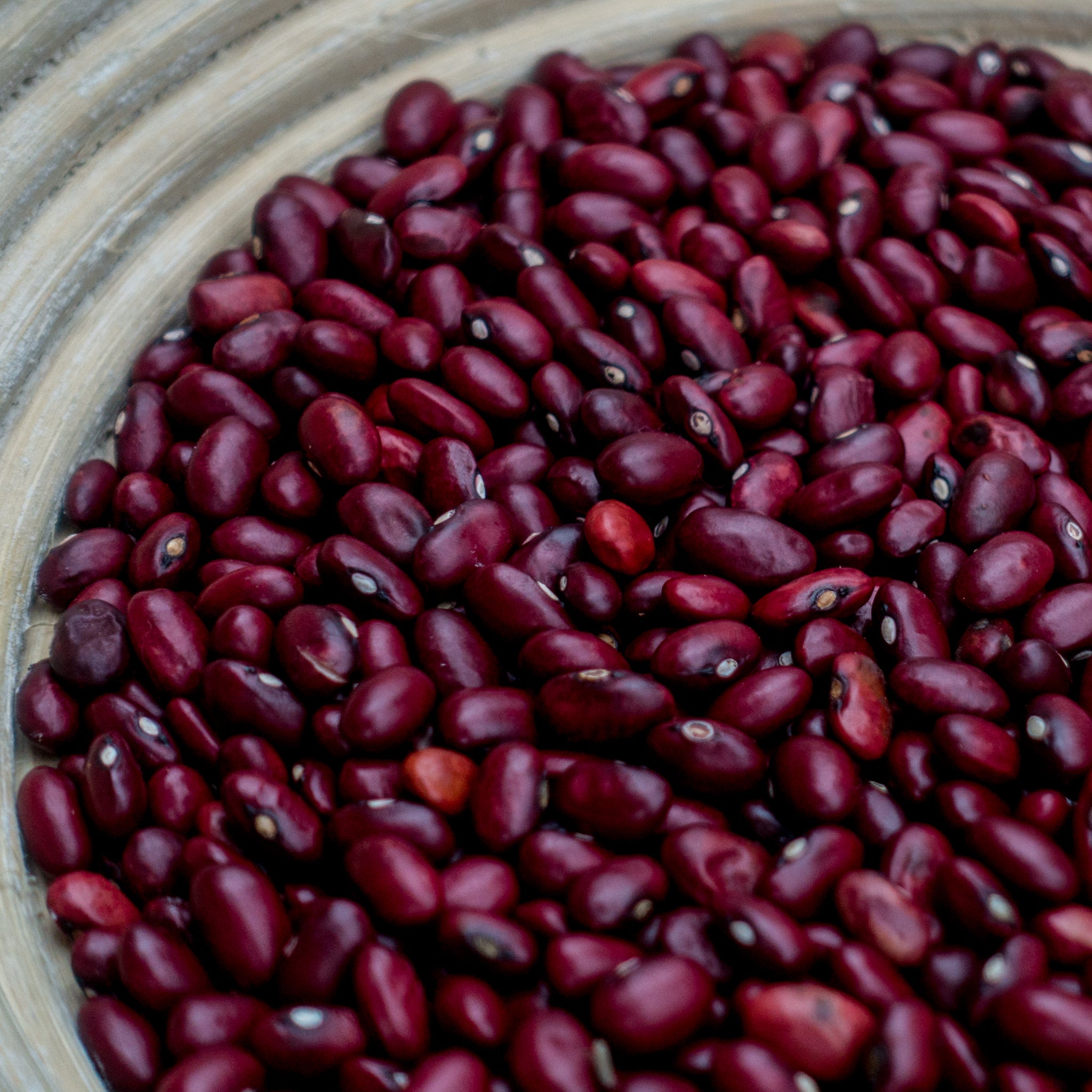 Rajma (Kilmora)