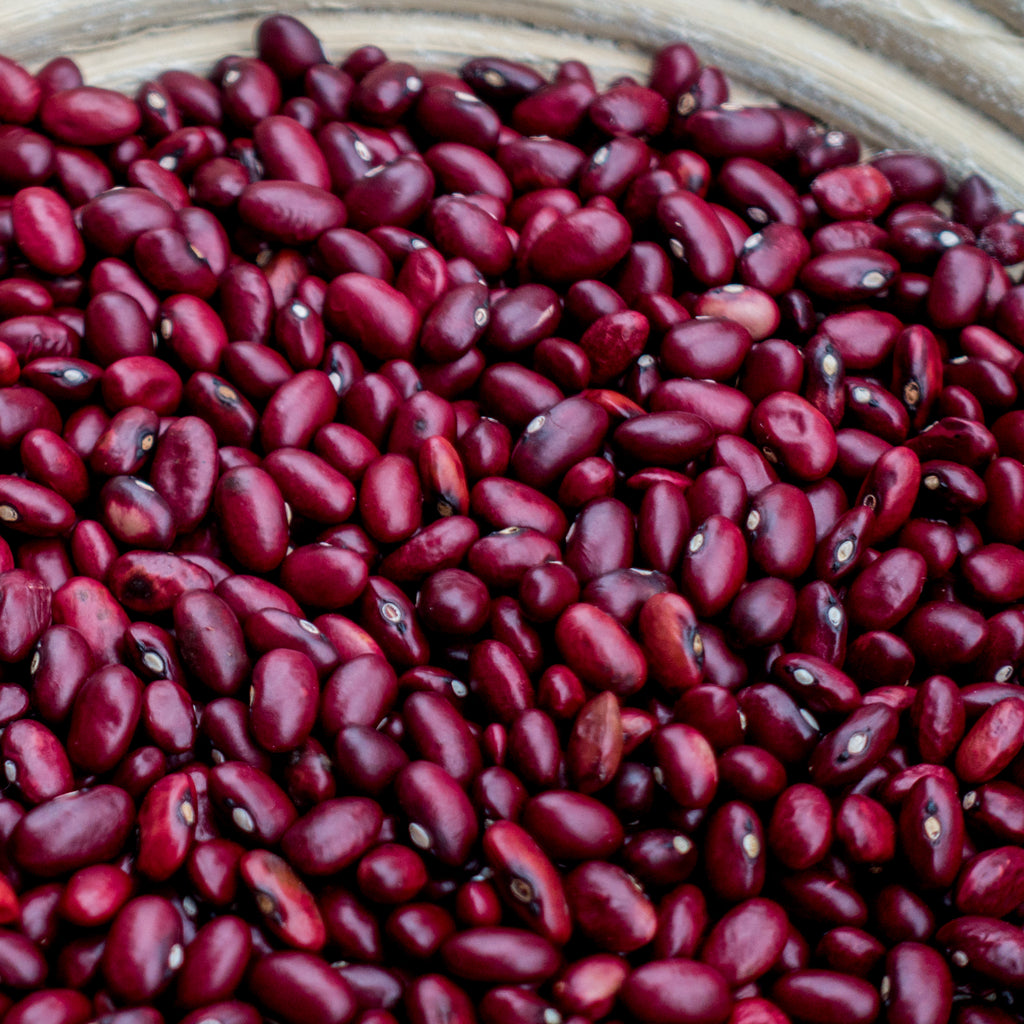 Rajma (Kilmora)