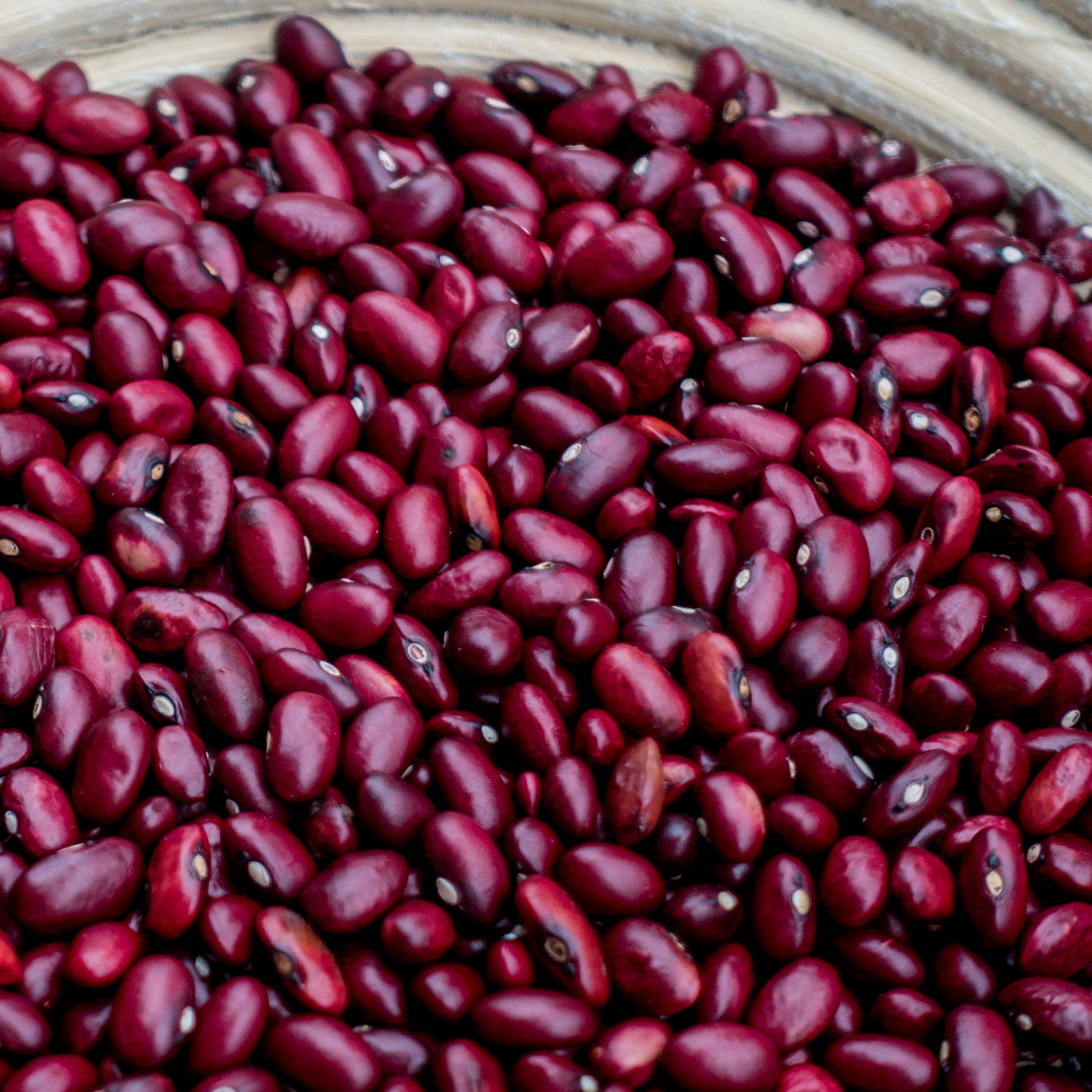 Rajma (Kilmora)