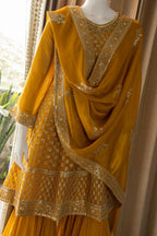 Beautiful Chinnon Short Anarkali with Garara