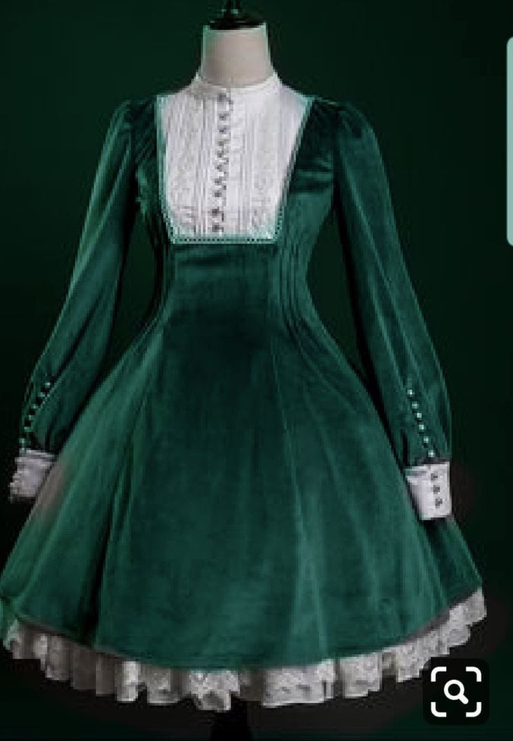 Beautiful Velvet Dress