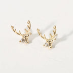 Attractive Earrings