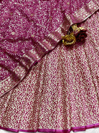 Benarsi Khinkhwab with Georgette Dupatta
