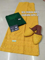 Beautiful Kurti Mastani Set with Juttis
