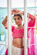 Beautiful Sequins Lehenga Choli Collection