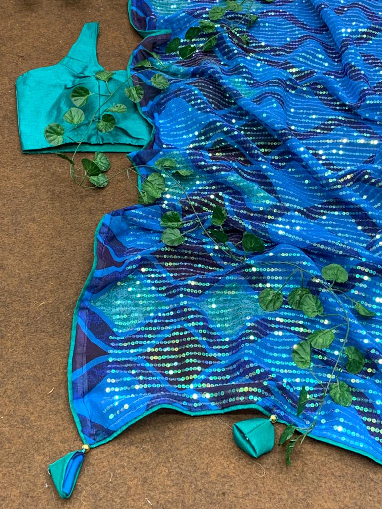 Beautiful Sequins Saree