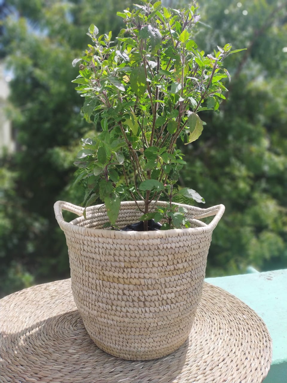 Planter with handle