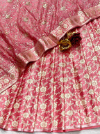 Benarsi Khinkhwab with Georgette Dupatta