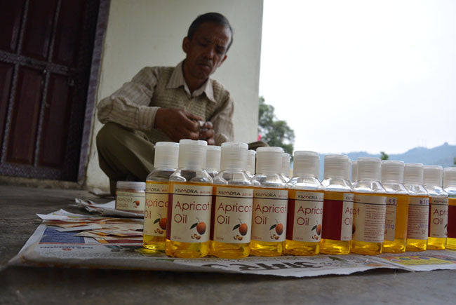 Apricot Oil (Kilmora)