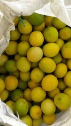 Thai Seedless Lemons