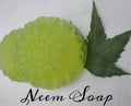 Neem Soap